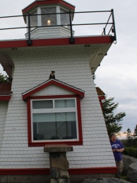 7 dr fox on the lighthouse